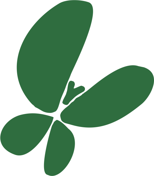 ACV butterfly logo
